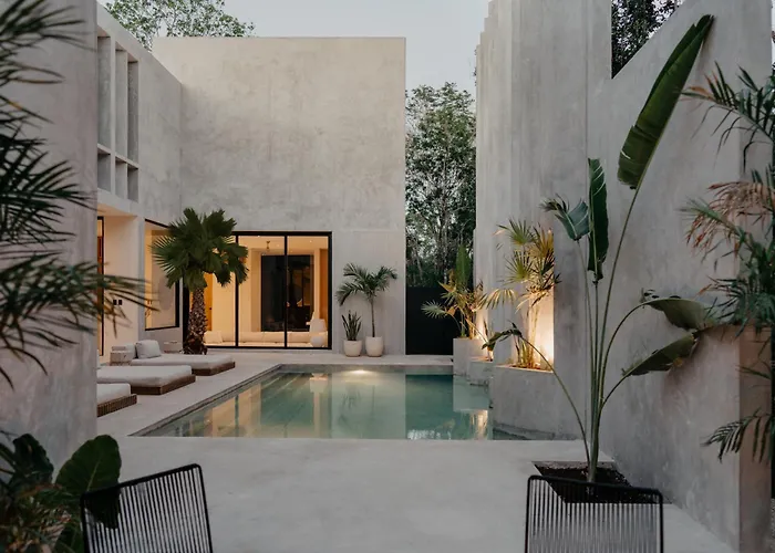 Lev - Celebrated Architectural Designer