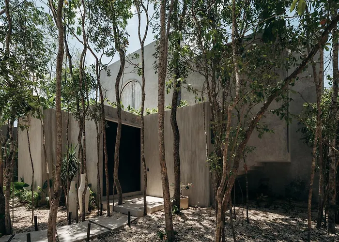 Lev - Celebrated Architectural Designer * Tulum