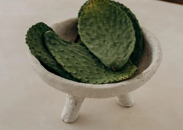 Lev - Celebrated Architectural Designer Villa Tulum